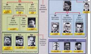  Organigramme de l'OAS 
