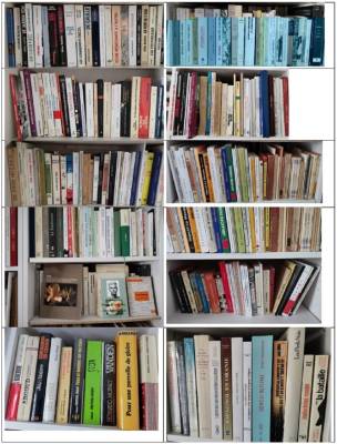 Highlight for Album: BIBLIOTHEQUE de REGIS GUILLEM