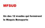   MFSUD  
---- 
Combattant OAS du Maquis BONAPARTE
