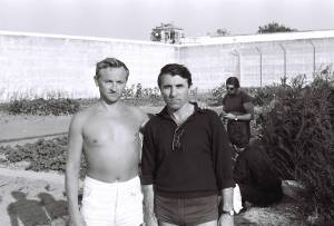 Highlight for Album: SAINT MARTIN de RE