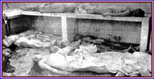 Highlight for Album: La Morgue de l'Hopital MUSTAPHA